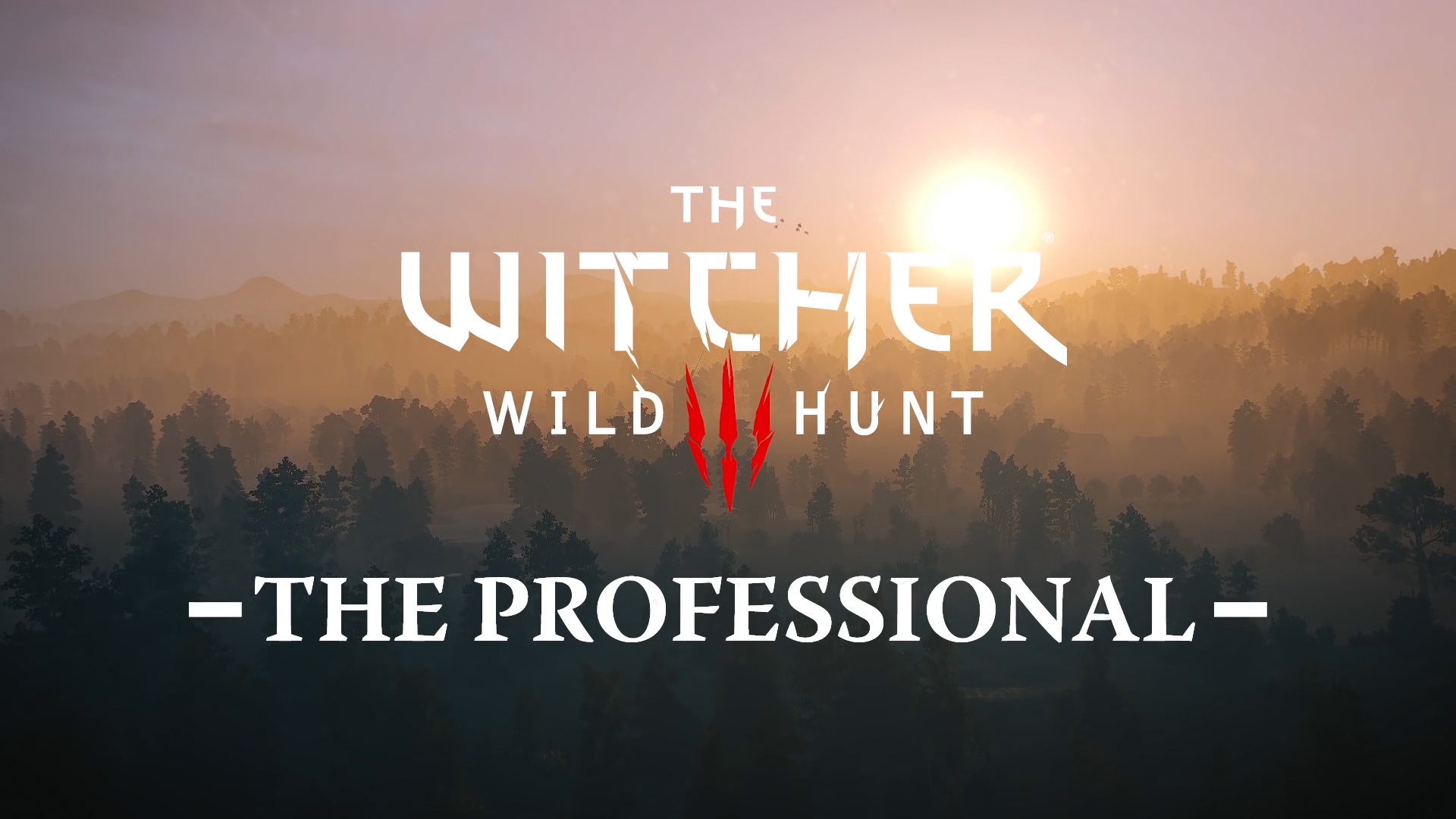 The Witcher Wild Hunt